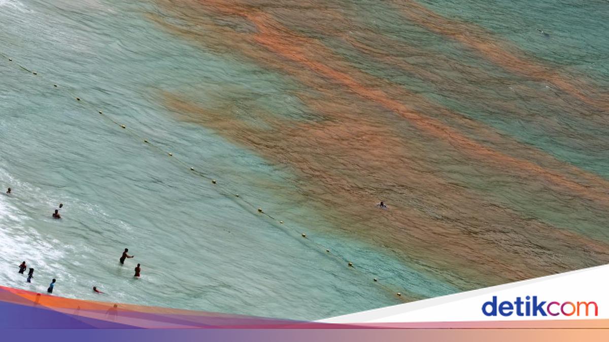 Potret Pantai di Cape Town Berubah Jadi Merah