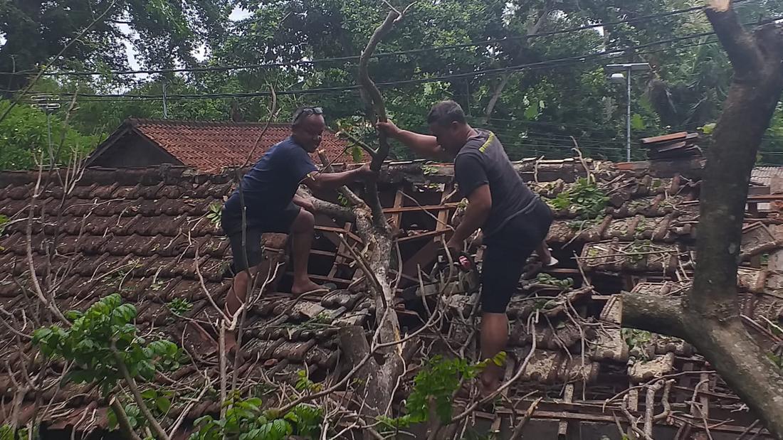 Angin Kencang, Pohon Tumpang Timpa Rumah Di Klungkung