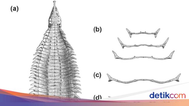 Evidence of Herbivorous and Omnivorous Ancient Land Crocodiles Identified in Texas Fossil Discovery