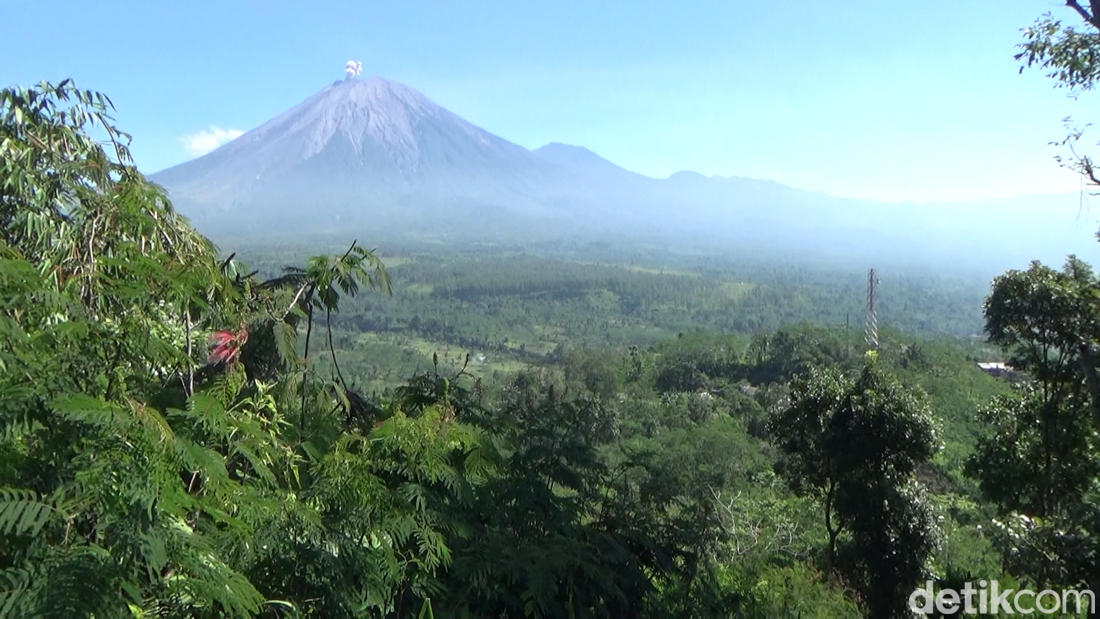 Gunung Semeru Erupsi Semburkan Abu Vulkanik Setinggi 900 Meter