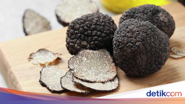 4 Fakta Jamur Truffle Berlian Hitam Yang Berharga Fantastis