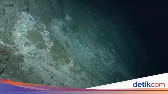 生命の起源を探るため大西洋の海底を1キロ掘削