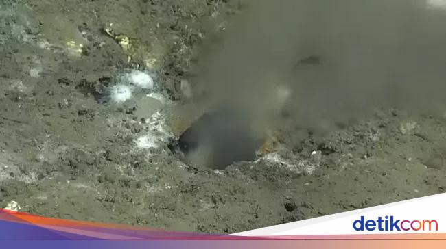 太平洋の海底で奇妙な水漏れが見つかり、大地震を引き起こす可能性がある