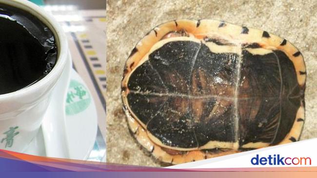 5 Makanan Ekstrem Dan Aneh Dari China Ini Bikin Mual