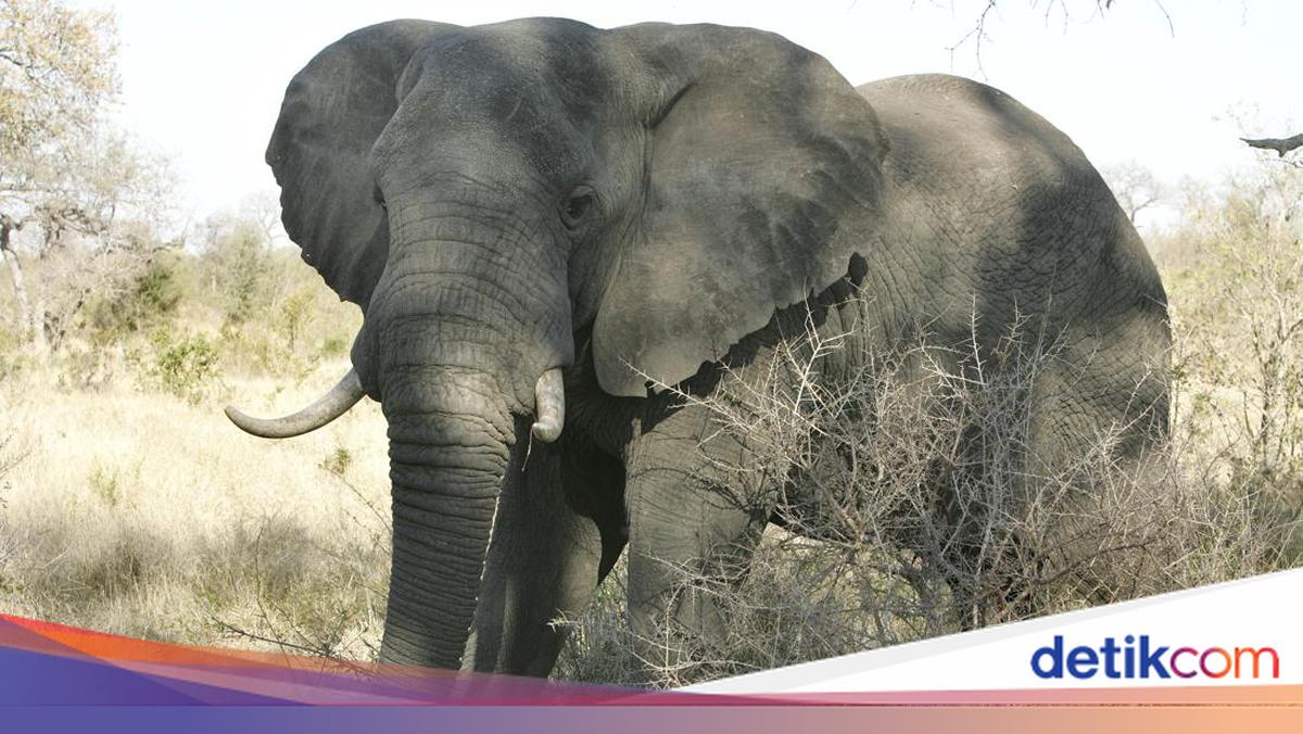 Keksa ayol bilan jinsiy aloqa