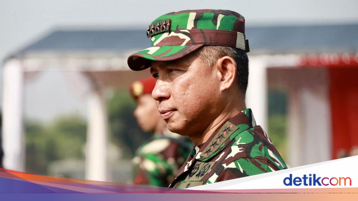 Panglima Api Panglima: TNI Gelar 41 Operasi Dalam Negeri dan Diplomasi LN pada 2024