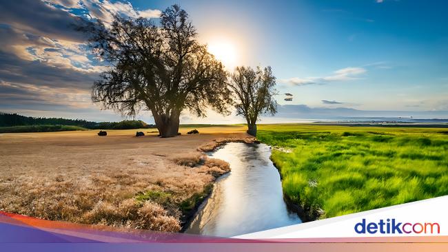 Ilmuwan Peringatkan Keruntuhan Biosfer, Kiamat Makin Dekat