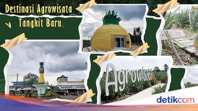 10 Tempat Wisata di Muaro Jambi, Ada Situs Candi hingga Agrowisata