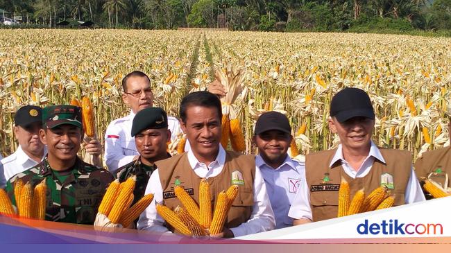 Mentan Panen Jagung di Aceh: Sudah Ada Hilal, Tanda-tanda Setop Impor