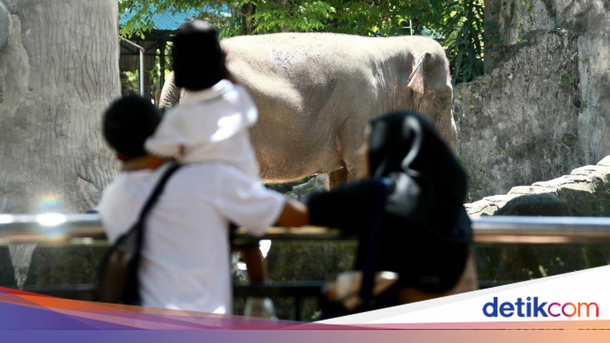 69.979 Pengunjung Padati Ragunan Hari Ini, 6 Anak Sempat Terpisah dari Ortu