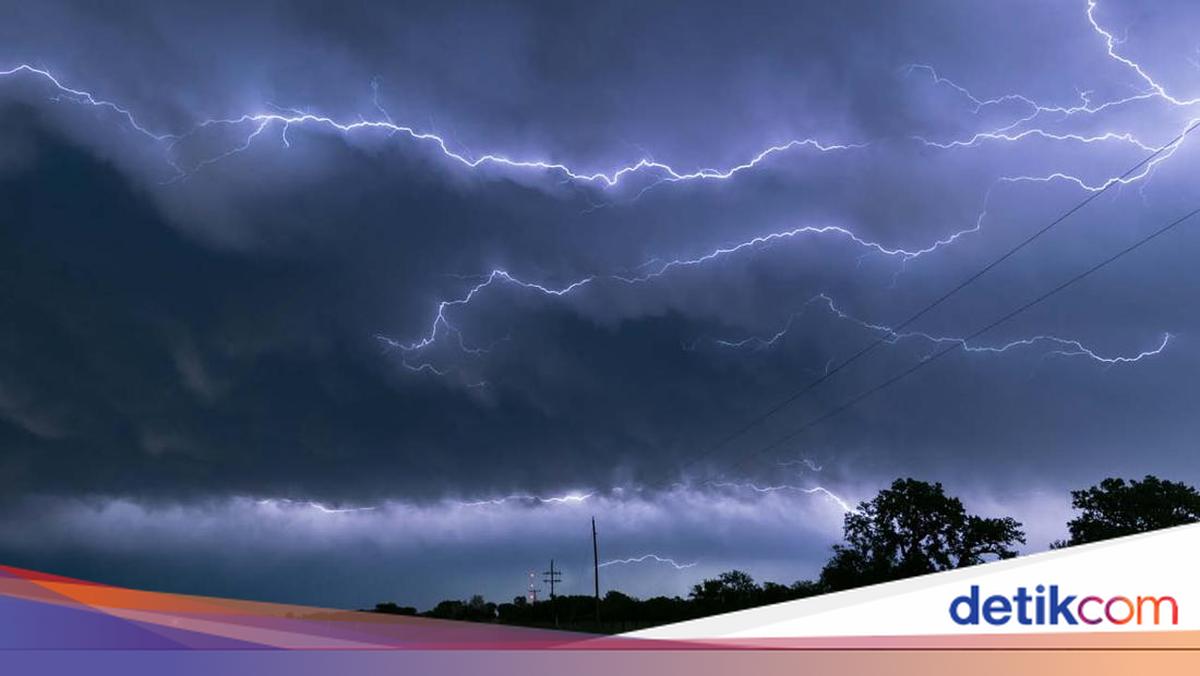 Hujan Guyur Jakarta, Waspada Banjir dan Pohon Tumbang!