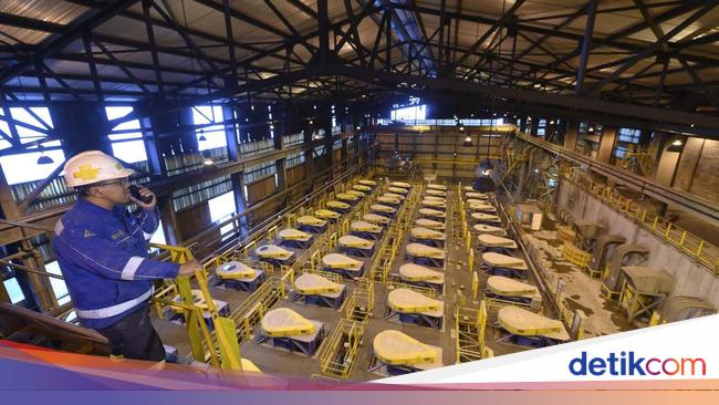 Hilirisasi Tembaga Bisa Hasilkan 253.583 Lapangan Kerja, Segini Untungnya