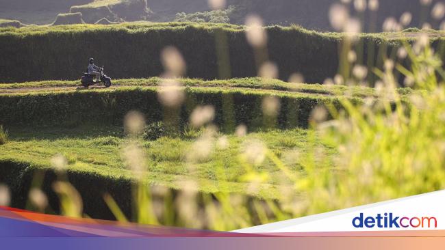 Perusahaan Malaysia Borong Lahan di Sentul City Rp 2 Triliun