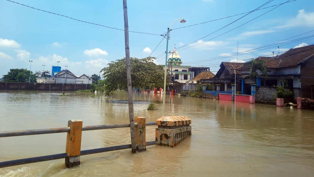 Rumah Dan Sawah Di Gresik Terendam Banjir Akibat Luapan Kali Lamong