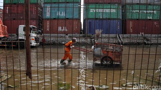 3 RT di Jakut Tergenang Banjir Rob, Tinggi Air Capai 60 Cm