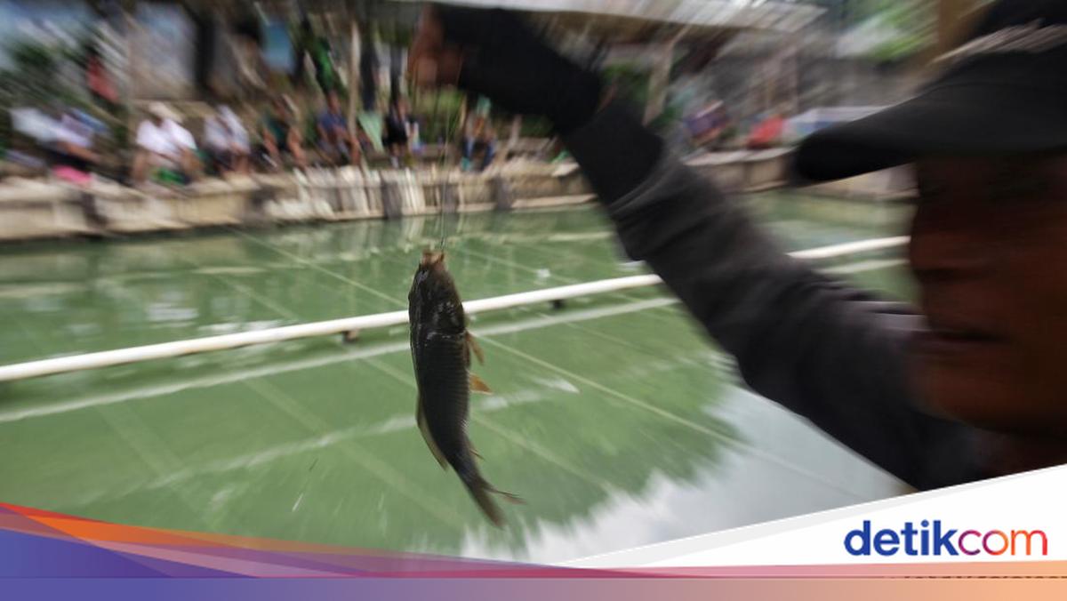 Viral postingan warga mendatangi Polsek Ponjong untuk melaporkan balik dugaan pencurian ikan, setelah pelapor sebelumnya dilaporkan atas dugaan penganiayaan. Lurah setempat angkat bicara terkait kejadian itu!

via @detikjogja_