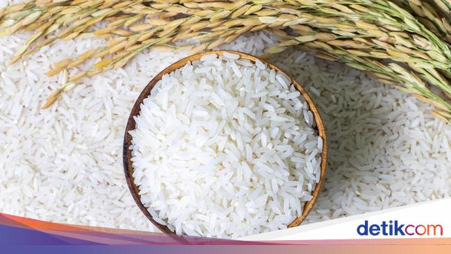 Isu Beras Impor dan Upaya Jaga Kesejahteraan Petani