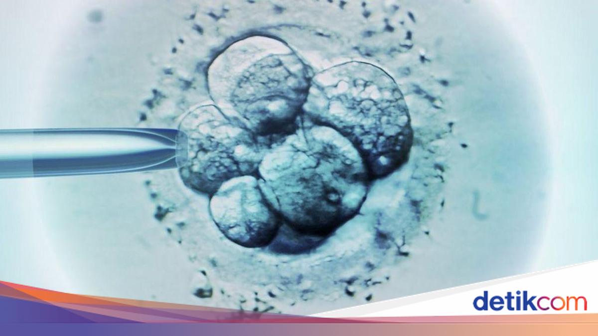 Putusan Pengadilan AS Anggap Embrio Beku adalah Bayi, Apa Dampaknya?
