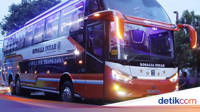 PO Rosalia Indah Launches Unique New Single Decker Buses Styled as Double Deckers: What’s the Reason Behind This Concept?