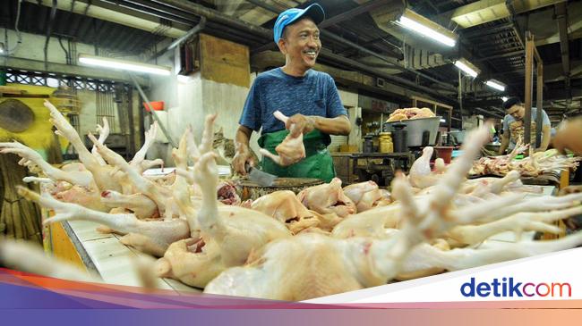Daging Ayam Ras Picu Inflasi 0,15% di Jatim pada Oktober 2024