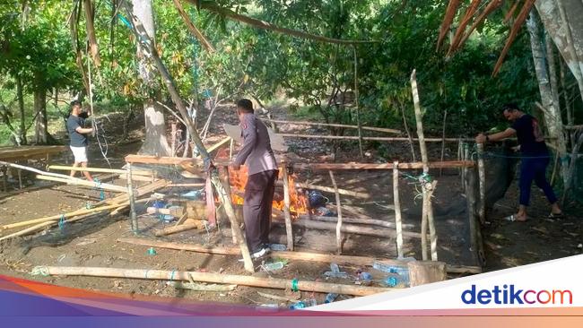 arena judi sabung ayam yang dibakar oleh polisi