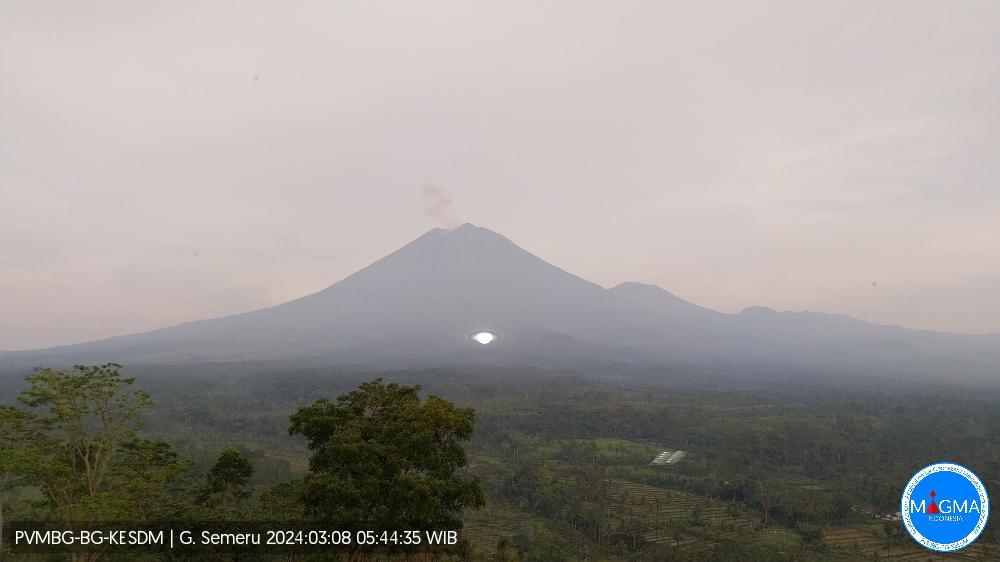 Gunung Semeru Kembali Erupsi Setinggi 800 Meter