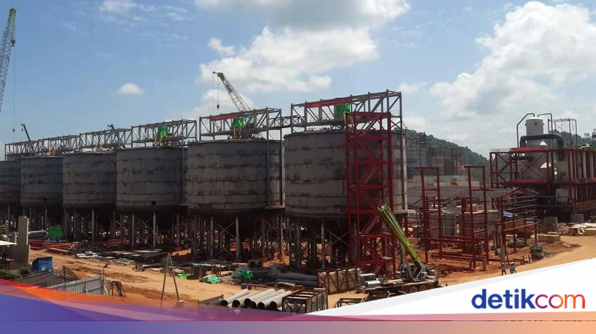 Sebelum Hilirisasi, RI Ekspor Bauksit Mentah dan Impor Alumina