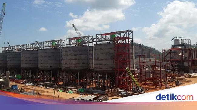 Sebelum Hilirisasi, RI Ekspor Bauksit Mentah dan Impor Alumina