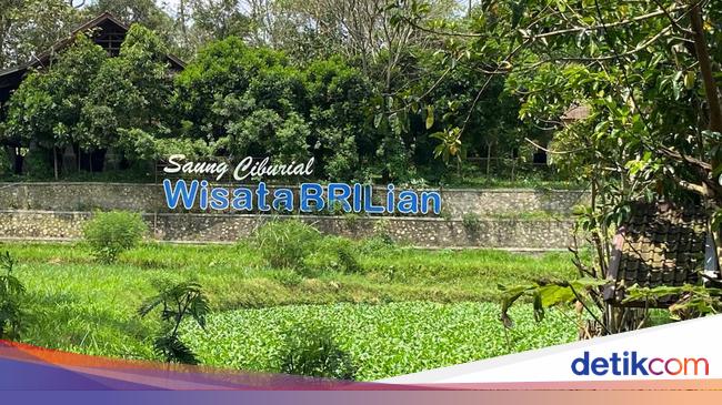 Desa Saung Ciburial: Dulu Miskin, Kini Kaya dan Mandiri Berkat Kearifan Lokal