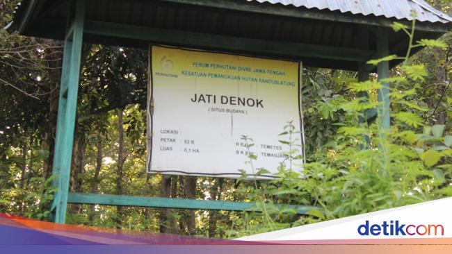 Kisah Jati Denok Blora, Persembunyian Putri Kediri yang Dijaga Harimau