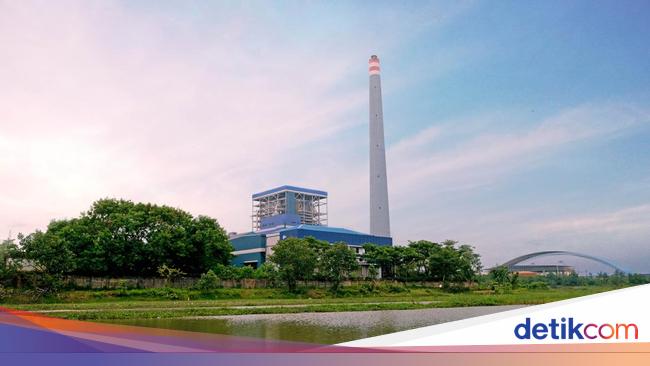 Tekan Emisi, PLTU Adipala di Cilacap Bakal Jadi Hutan Tanaman Energi