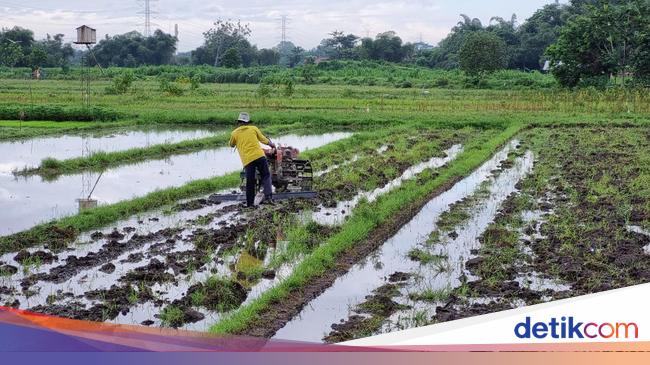 KUA Diluncurkan! Bunga 3%, Jangan Waktu Pinjaman 5 Tahun