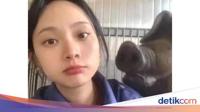 From Civil Servant to Pig Farmer: Meet Xiao Zhou, the Beautiful Breeder Finding Happiness in Unusual Career Path