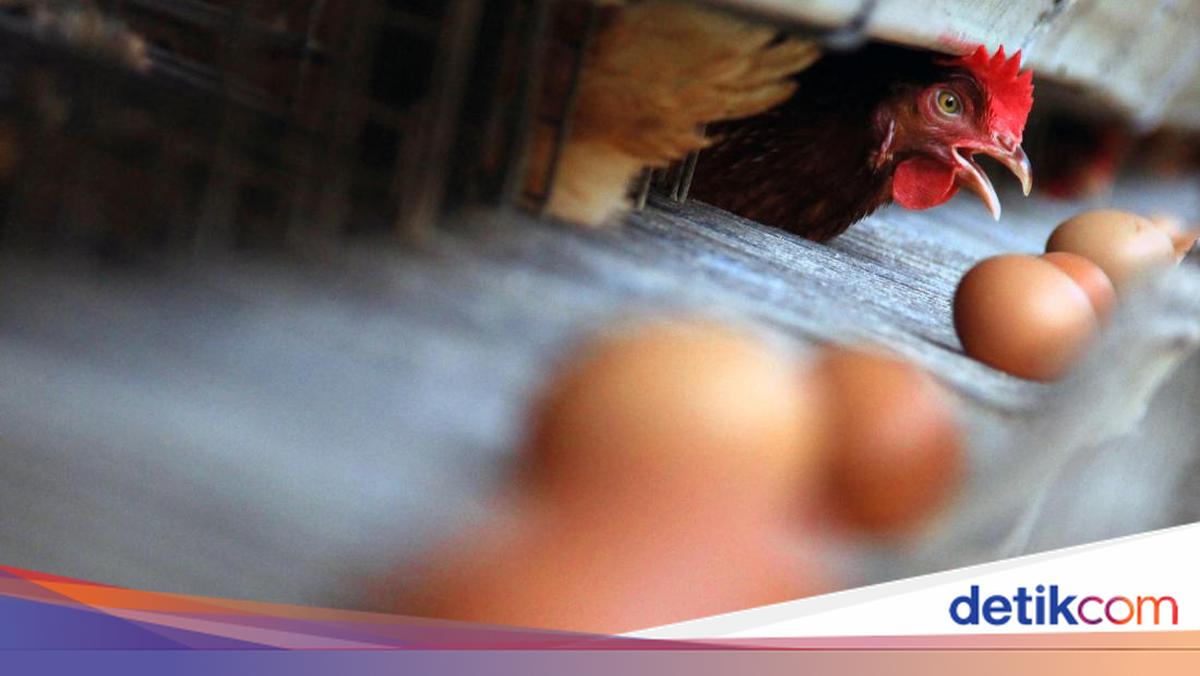 RI Berpeluang Jadi Raja Industri Protein Asia Tenggara