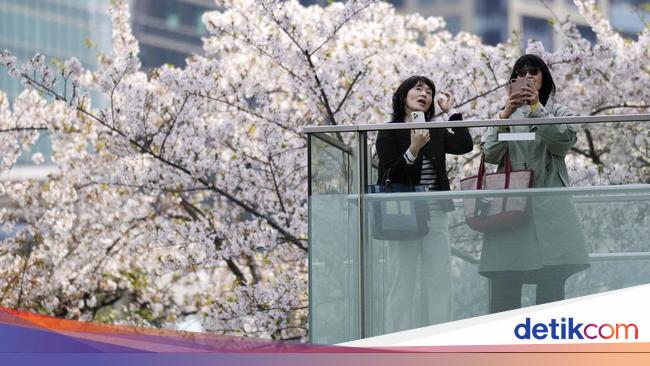 5 Cara Diet Ala Wanita Jepang, Termasuk Pantang Banget Makan Ini