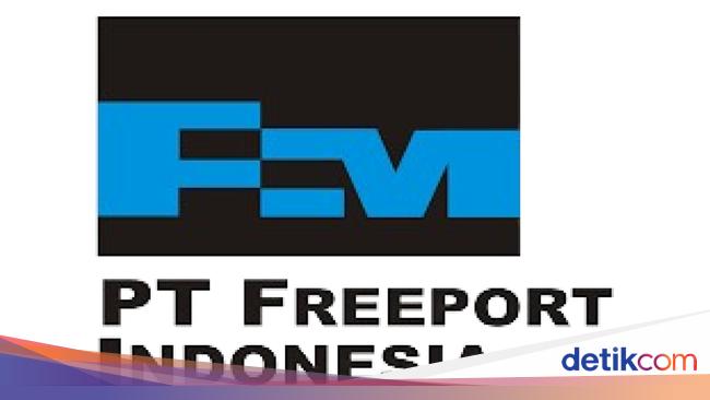 Awal Mula Freeport, Begini Kisah Pertama Kali Emas Ditemukan di Papua