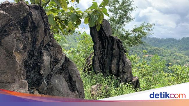 Jadi Bagian Geopark Kebumen, Desa Seboro Juga Kembangkan Wisata Budaya