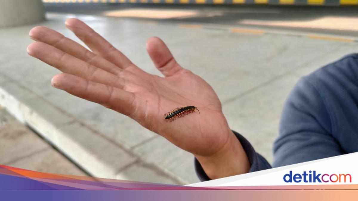 Jinsiy aloqa paytida vaginadan sperma oqishi