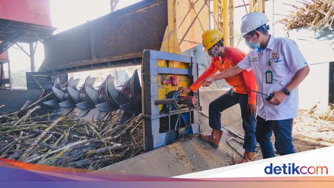 PTPN III Catat Laba Bersih Rp 705 M di Kuartal I-2025