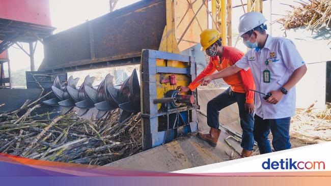 Pabrik Gula Milik BUMN Ungkap Strategi Wujudkan Swasembada, Caranya?