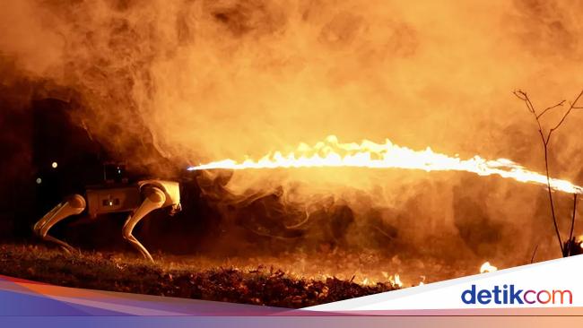 Robot Anjing Penyembur Api, Gahar!