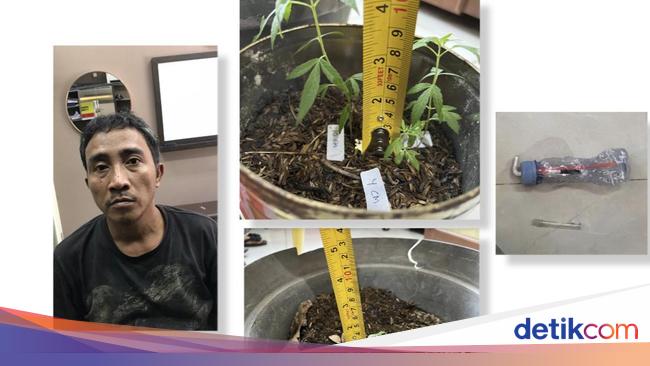 Jatim terpopuler: Pegawai BUMN digerebek istrinya hingga pengedar narkoba dimiskinkan