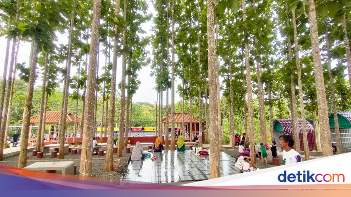 Pesona Djati Emplak, Wisata Hidden Gem di Pangandaran