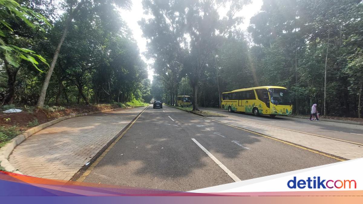 Ini Lokasi Kecelakaan HR-V Tabrakan dengan Bus Kuning UI