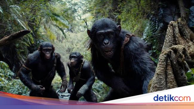 5 Fakta Menarik Film Kingdom of the Planet of the Apes, Ada Animator Indonesia - detikPop