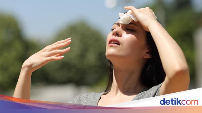 Kapan Puncak Kemarau 2025? Ini Prediksi dan Peringatan Terbaru BMKG