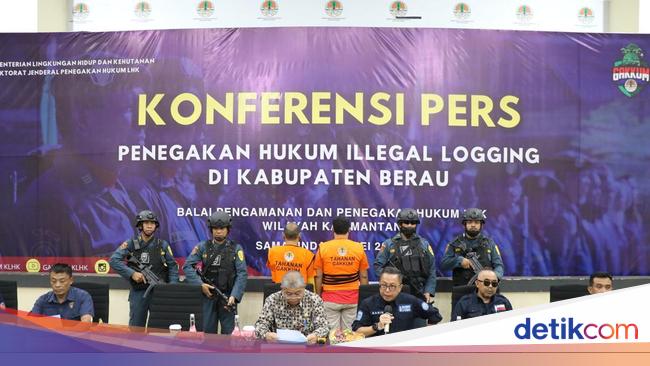 Gakkum Klhk Bongkar Jaringan Kayu Ilegal Berau Surabaya Ada 2 Tersangka