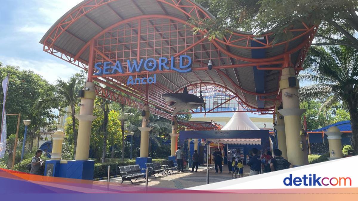 Wisata Ancol Gratis untuk Lansia 60 Tahun ke Atas Sampai 31 Juli, Cek Syaratnya!