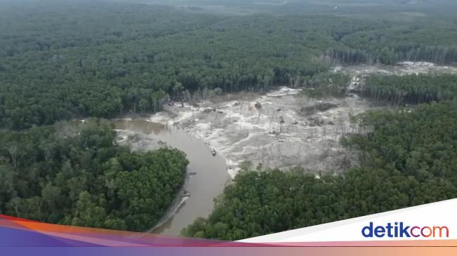 Kasus Tata Kelola Timah Tak Bisa Disebut Korupsi, Ini Alasannya