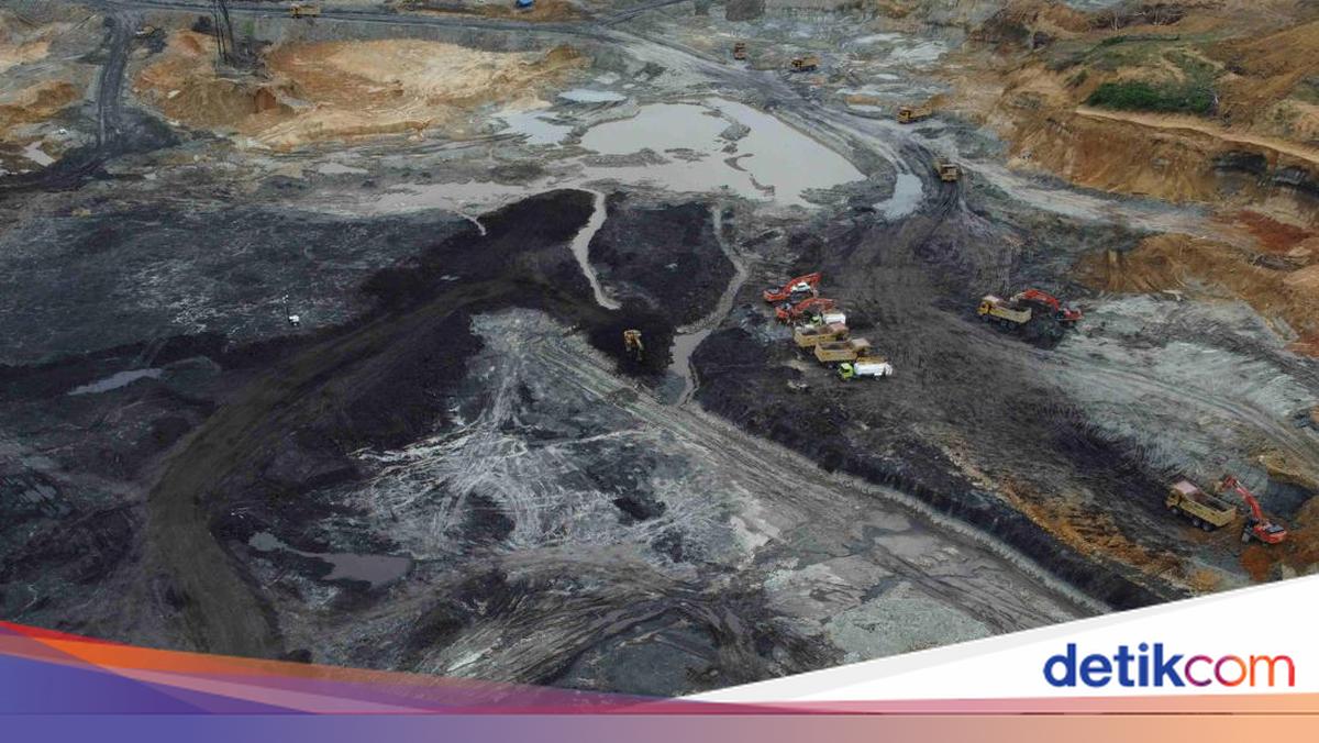 Harga Acuan Batu Bara RI Turun Jadi US$ 124,44 per Ton